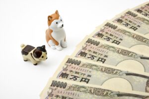お金をみつめる犬