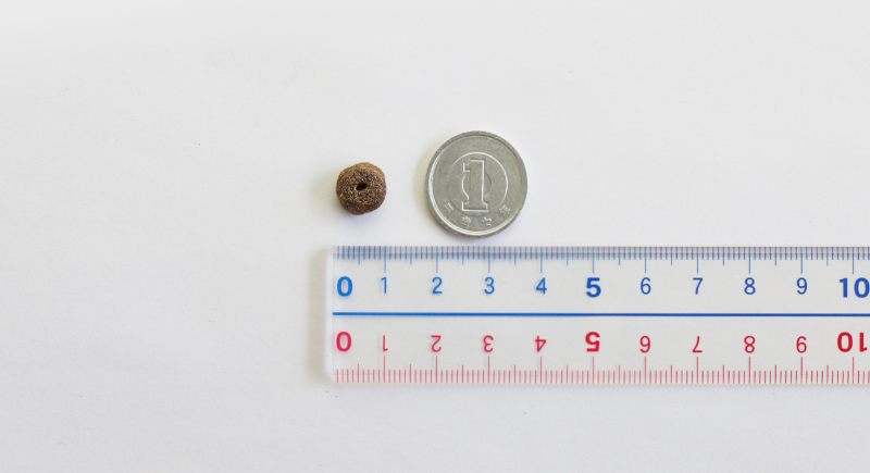 モグワンのサイズ